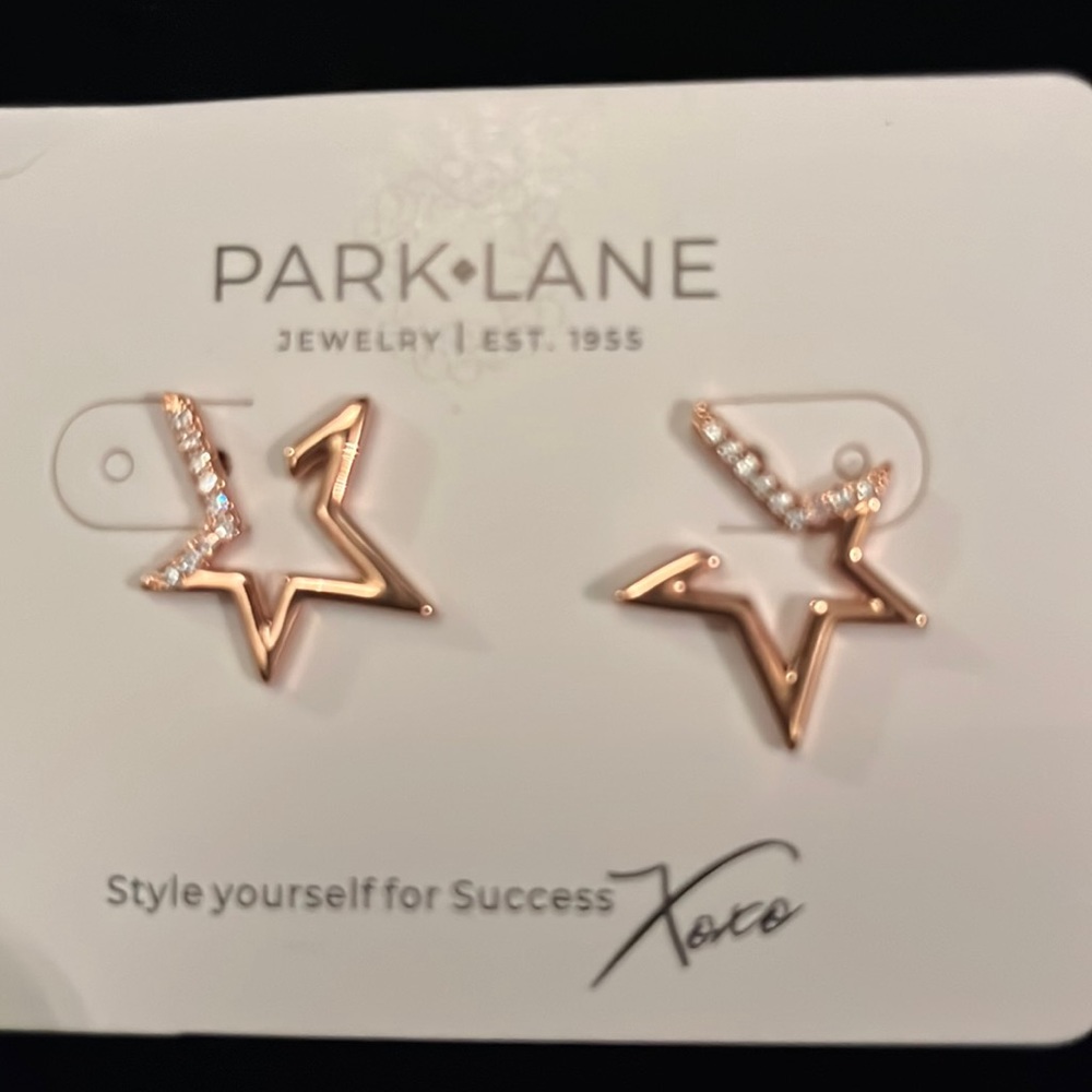 Rose Gold Rodeo Earrings